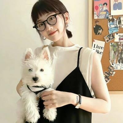 纯情罗曼史第三季
